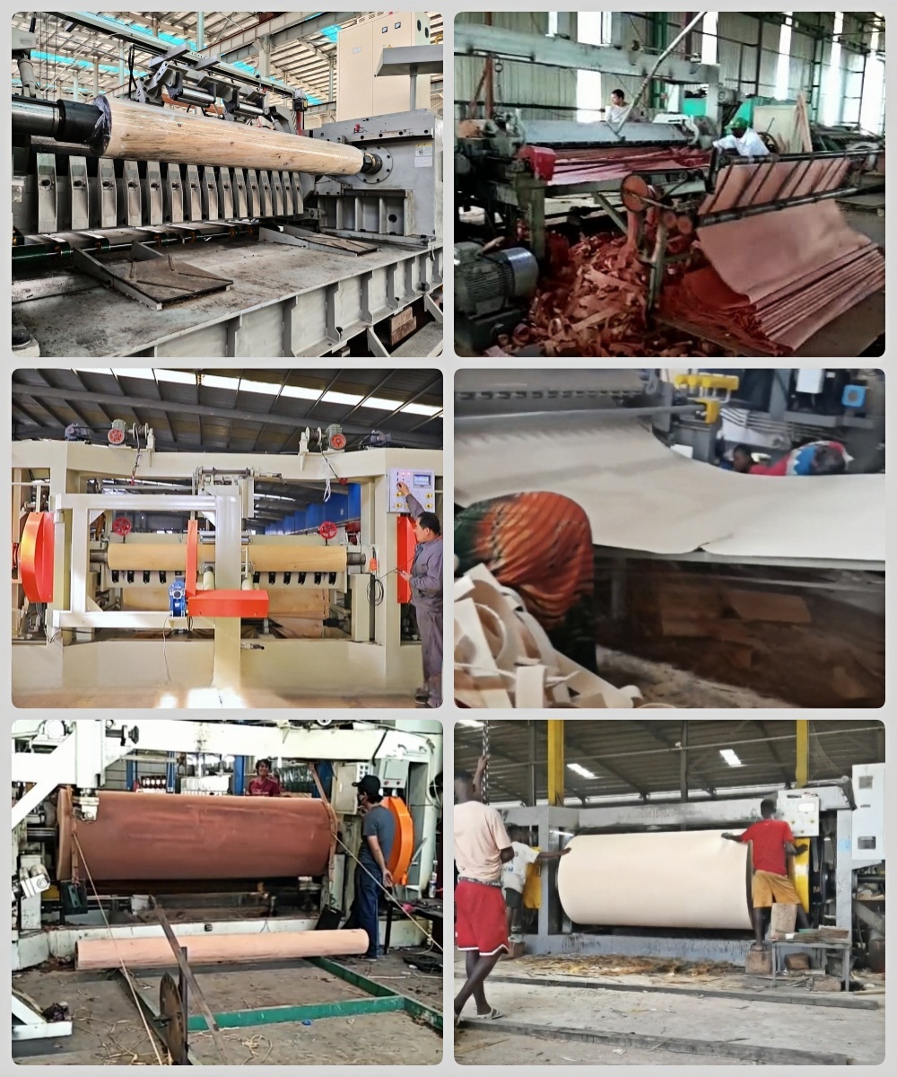 Máquina de descasca do fuso 19