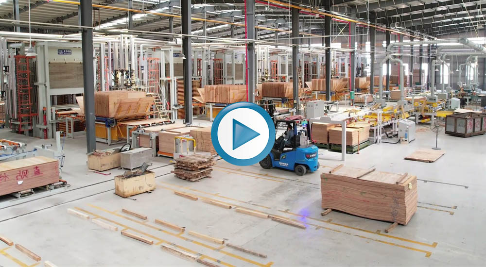 Pressione Máquina de trabalho Vídeo 2