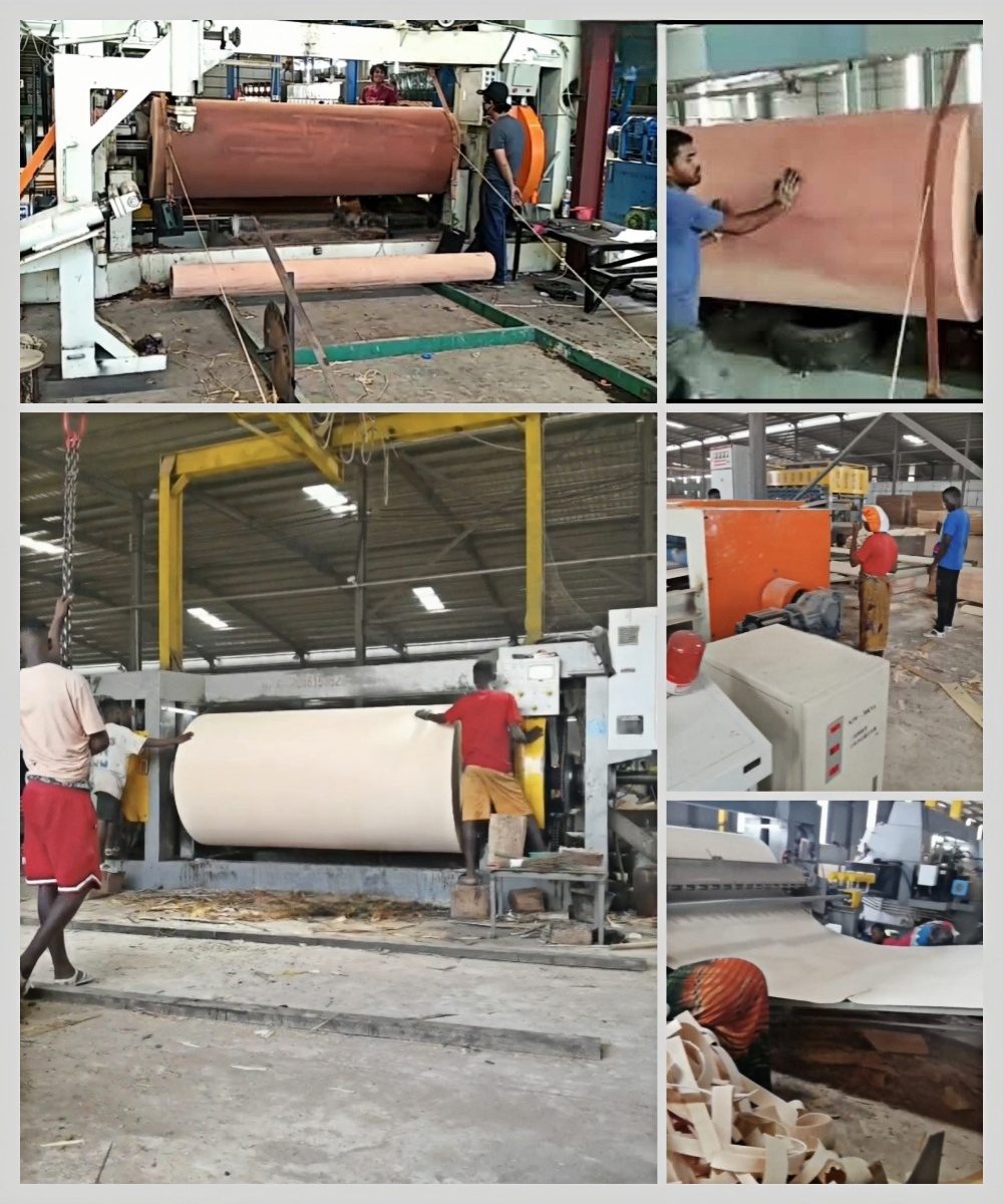 Máquina de descascamento do fuso funcionando 2