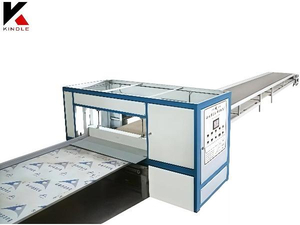 Promoção Folheada CNC Plywood System para a produção de madeira compensada de pavimentação